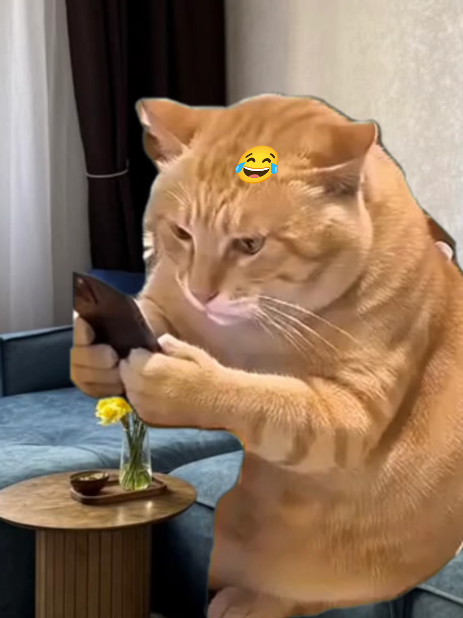 @🇺🇦Любов_укр🍉