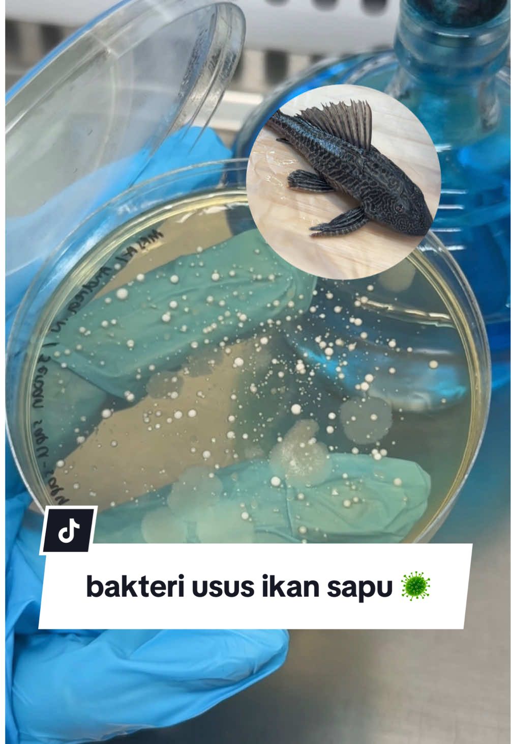 @andrea👩🏻&zwj;🔬