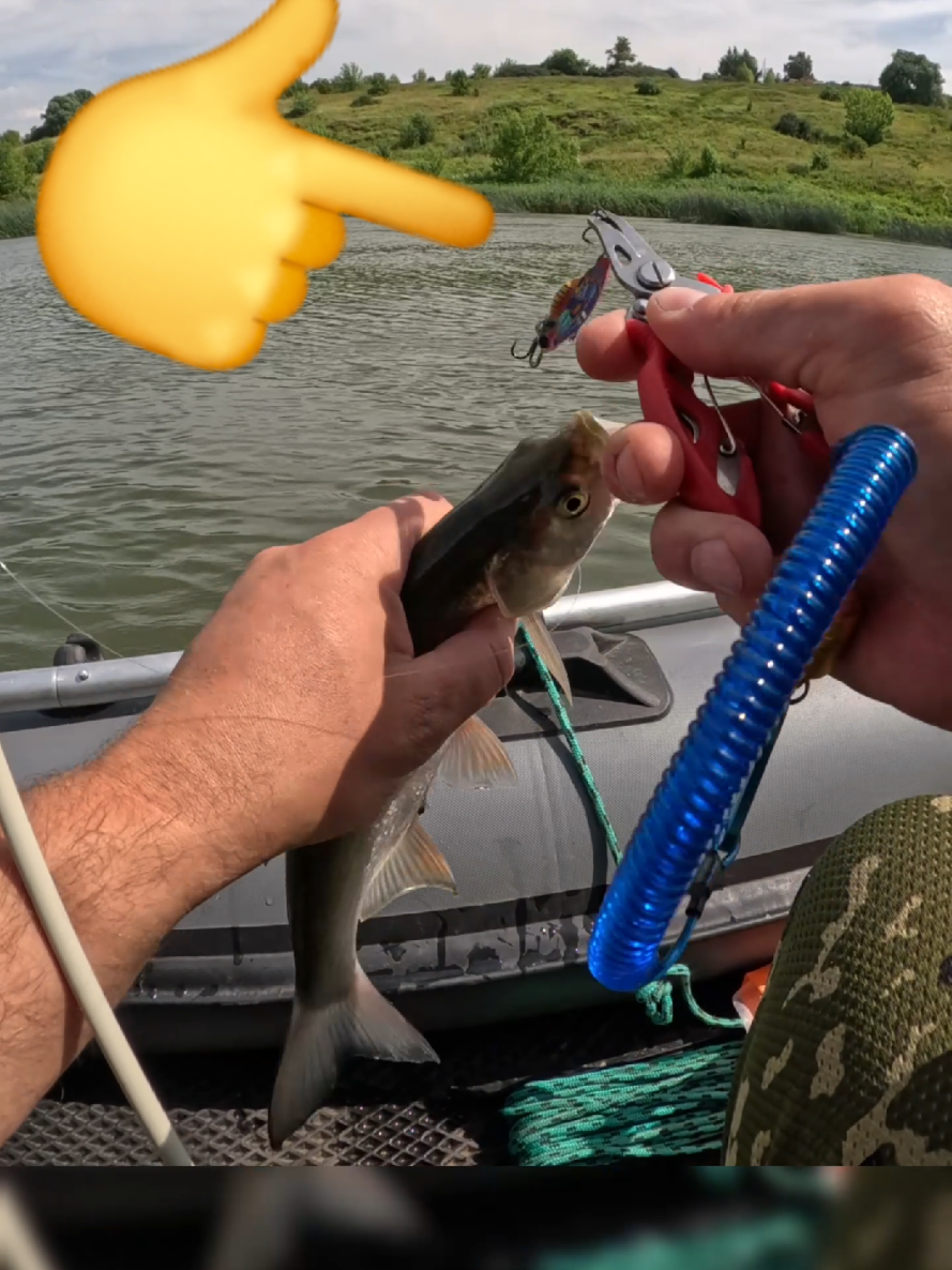@Колька Рыбак👦🎣