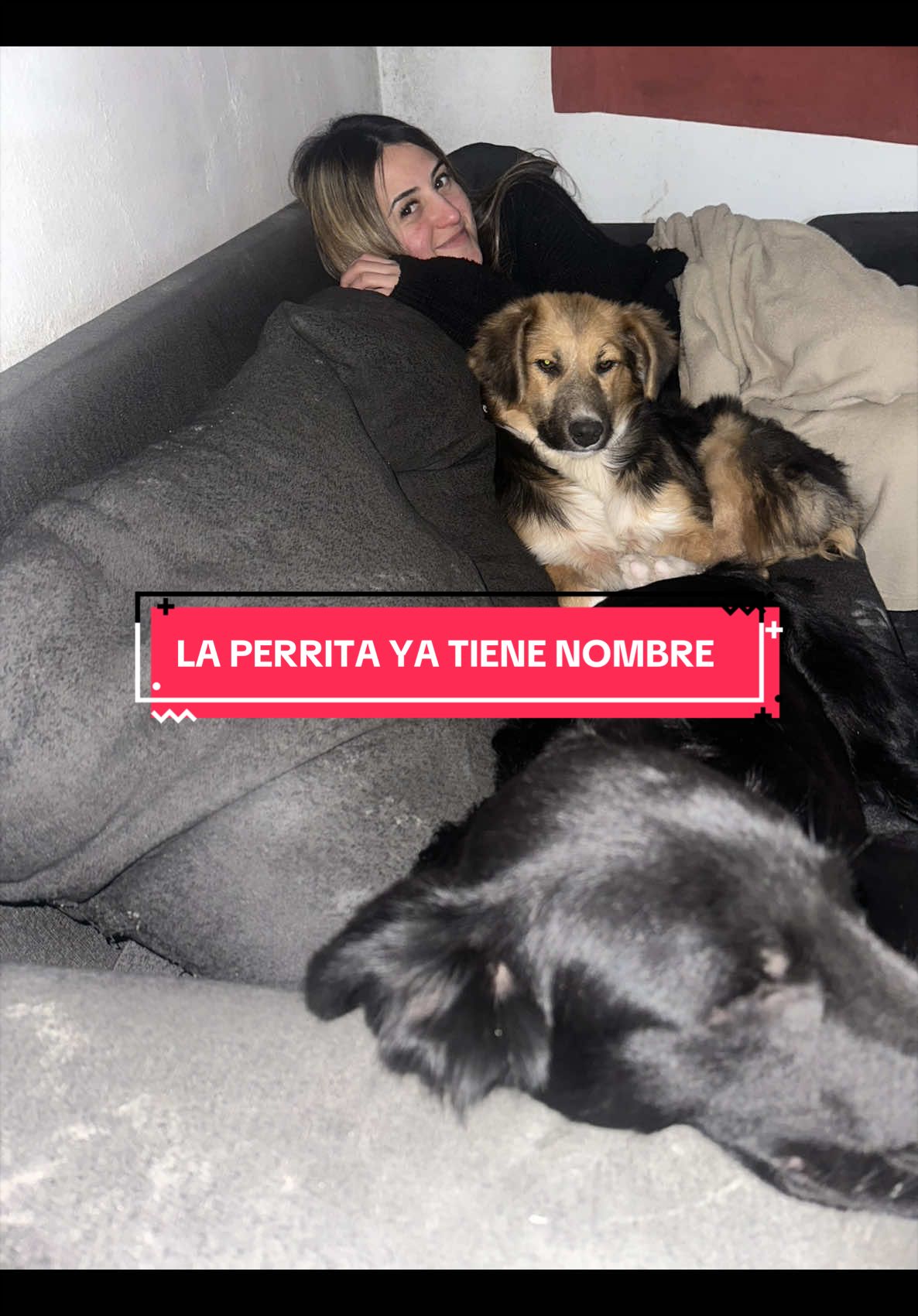 @Came Cortona