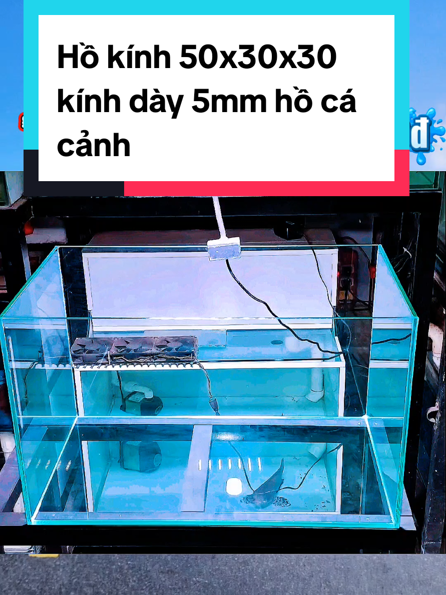 @@1Huyền Nguyễn