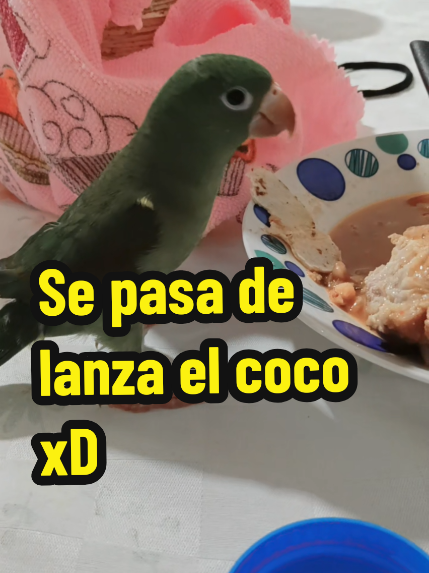 @🤙Verolocuras🤙