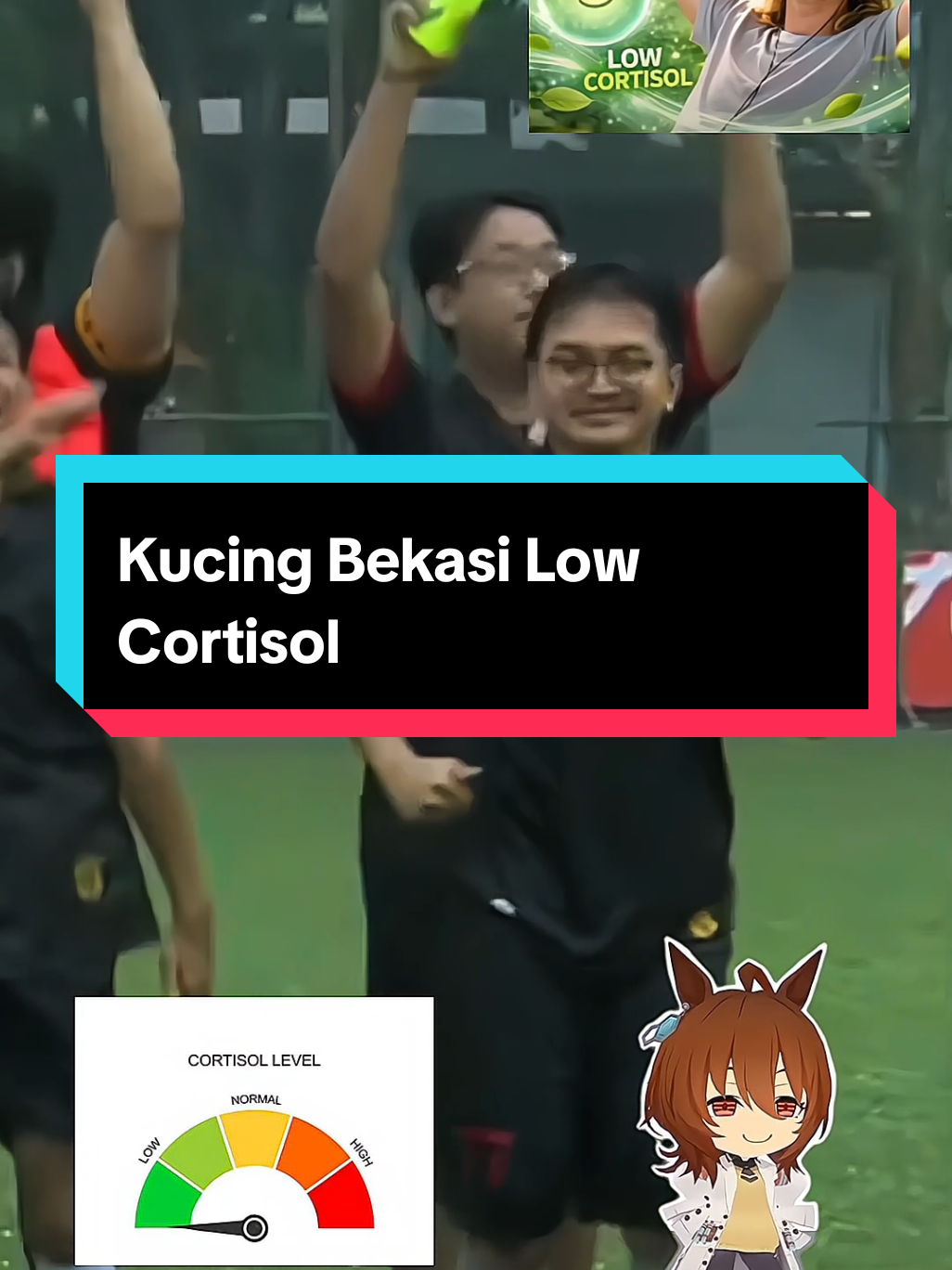@XQI