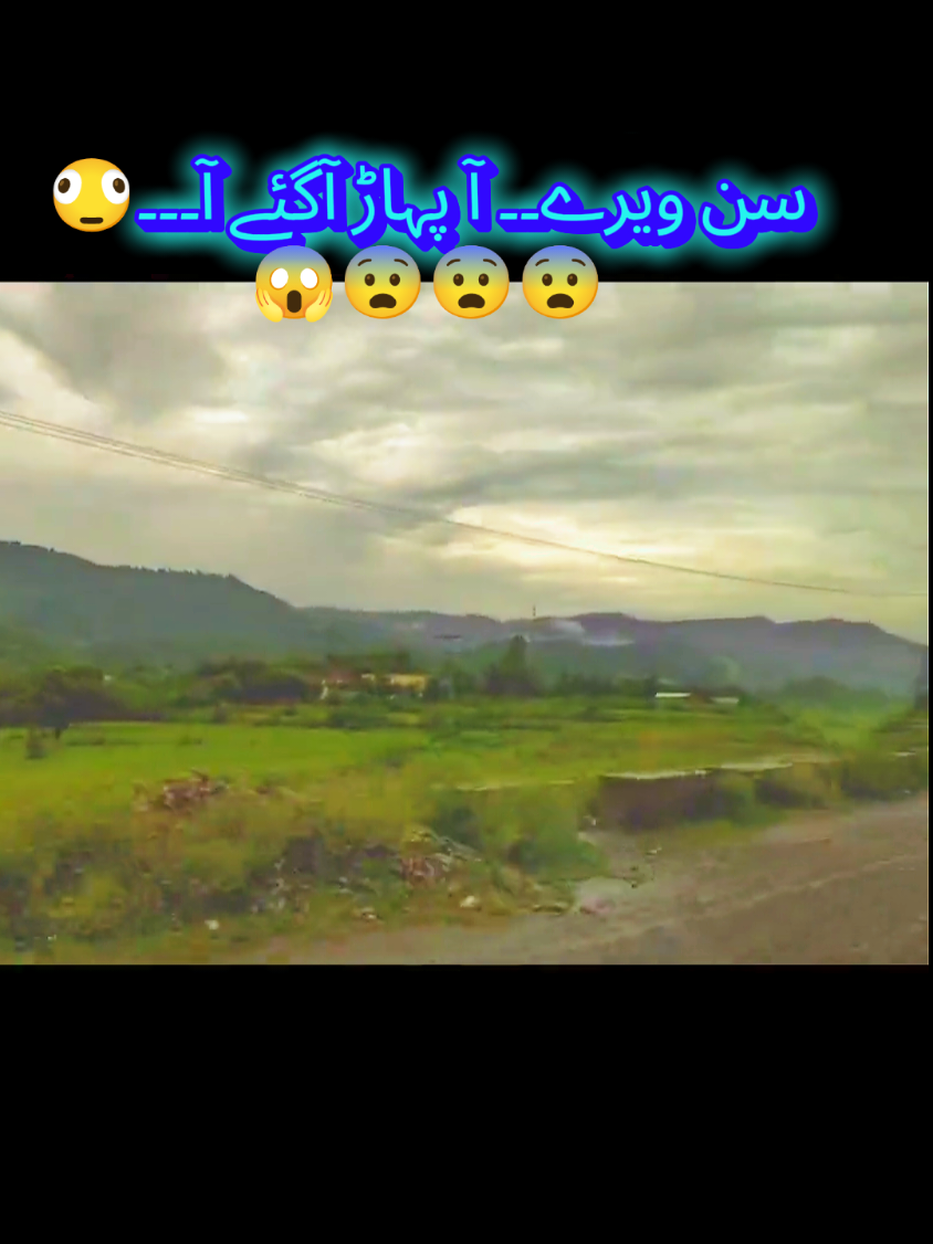 @🌼Faria Sheikh🌼