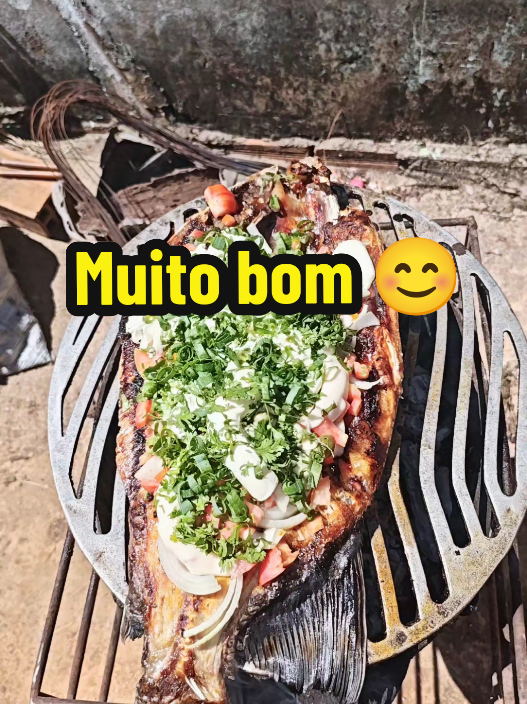 @Jo-Brito ✌️😌🇧🇷🇧🇷