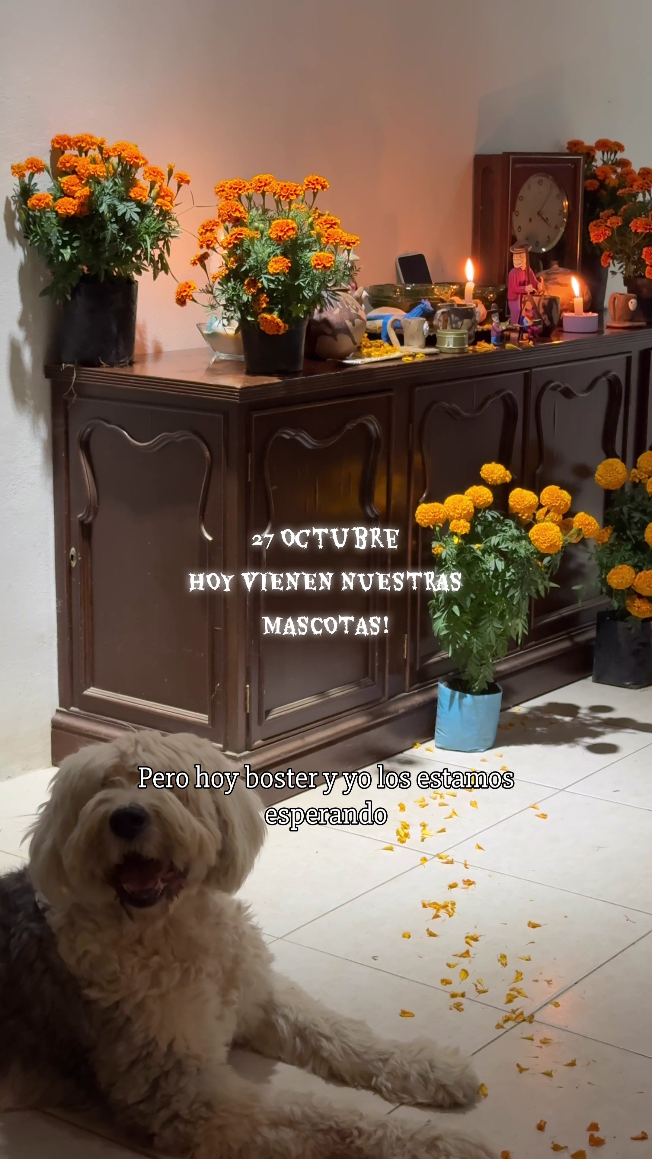@Javilunatico &Lembranza México