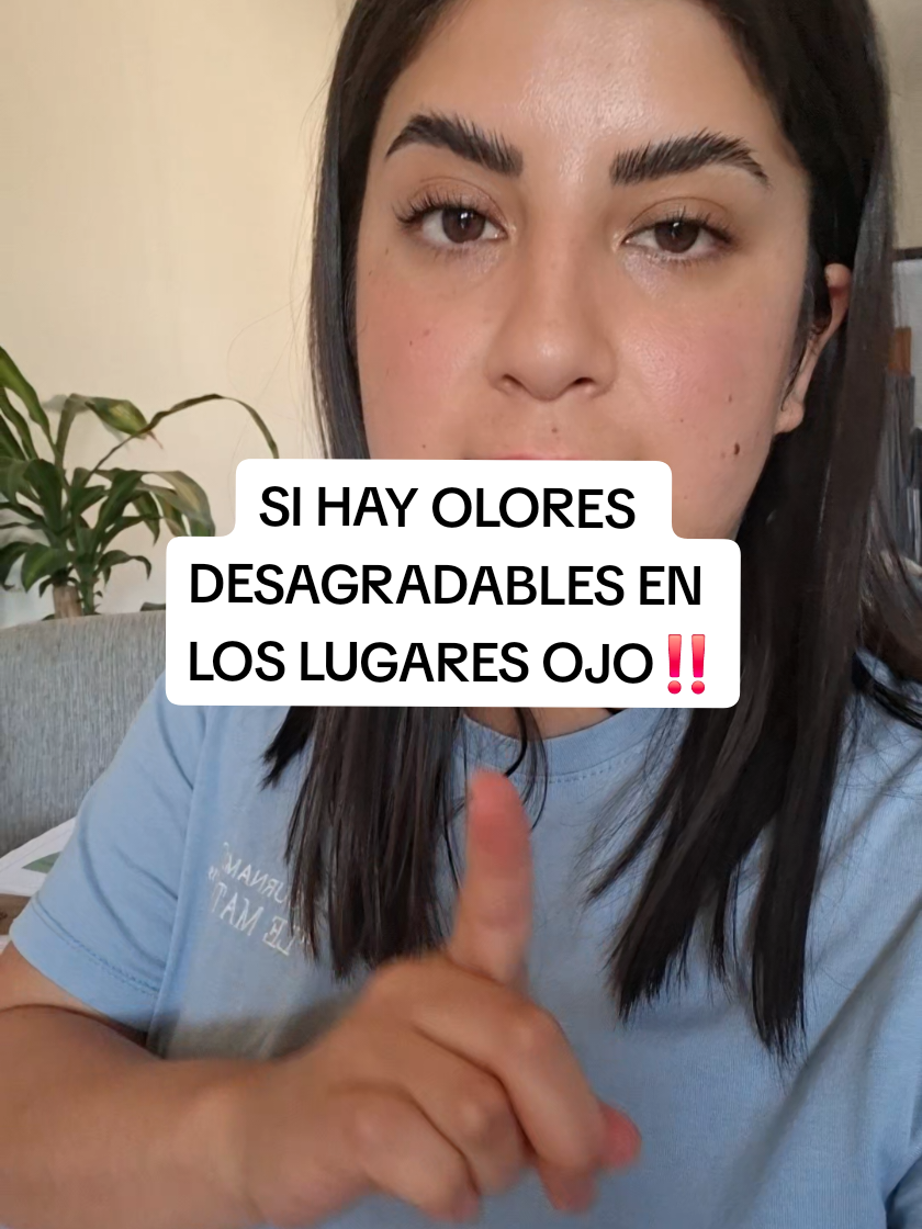 @Romi ✨️ Modozen