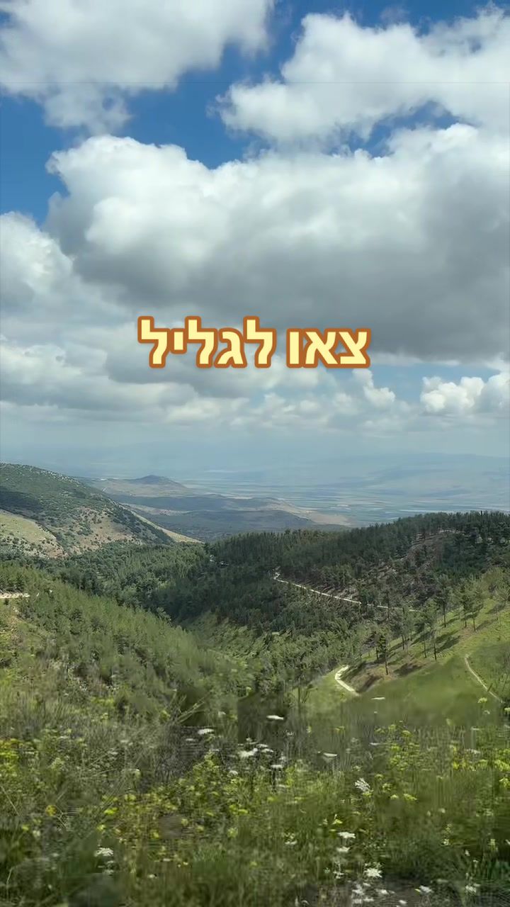 @תמרי🇺🇸🇮🇱