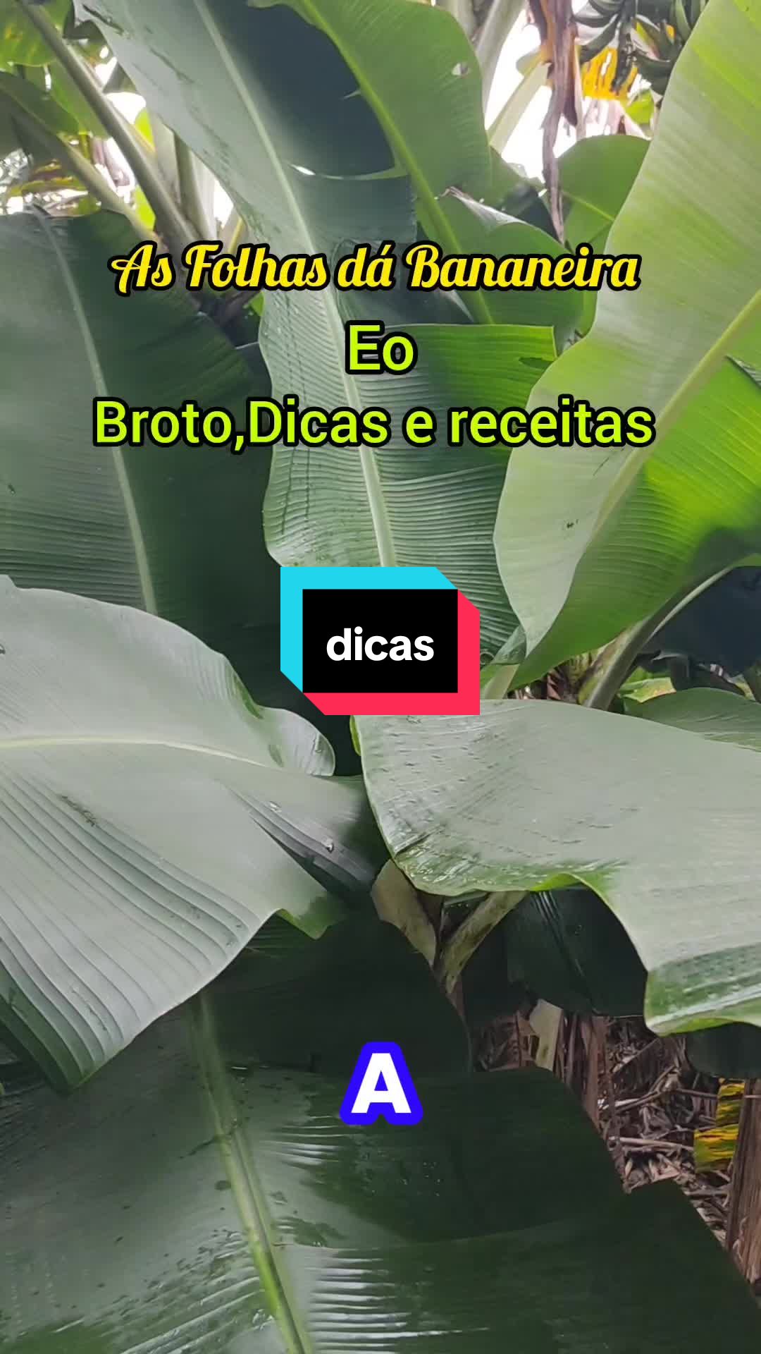 @natureza e saúde