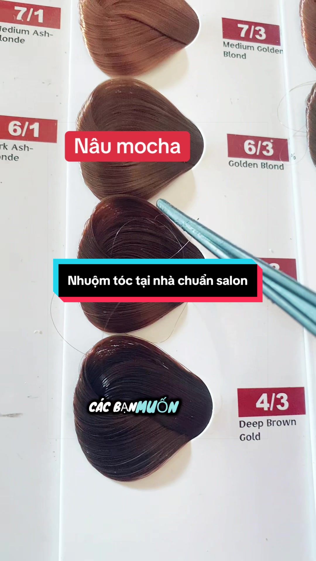 @Shop Thu Hương