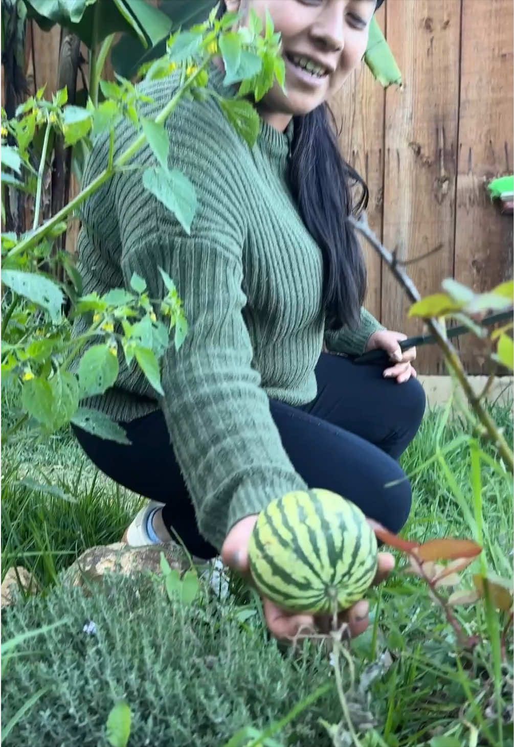 @Las Curiosidades de mamá