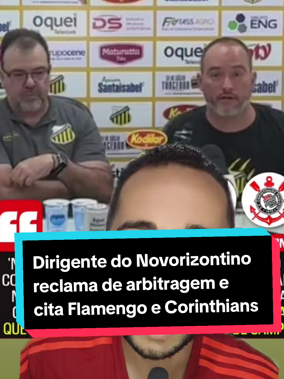 @analistaleigo