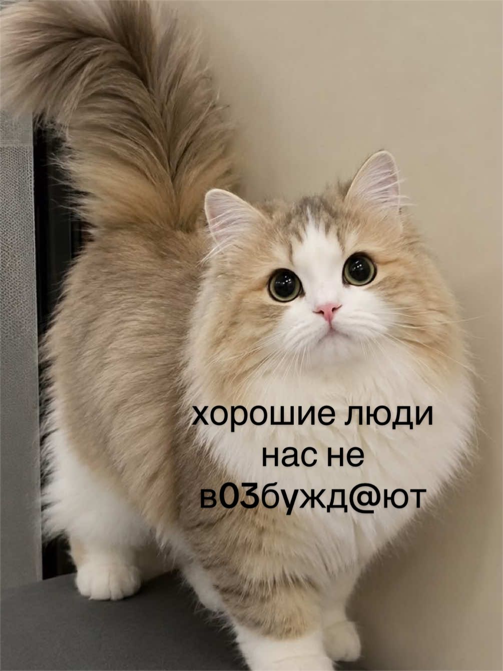 @мамин хep