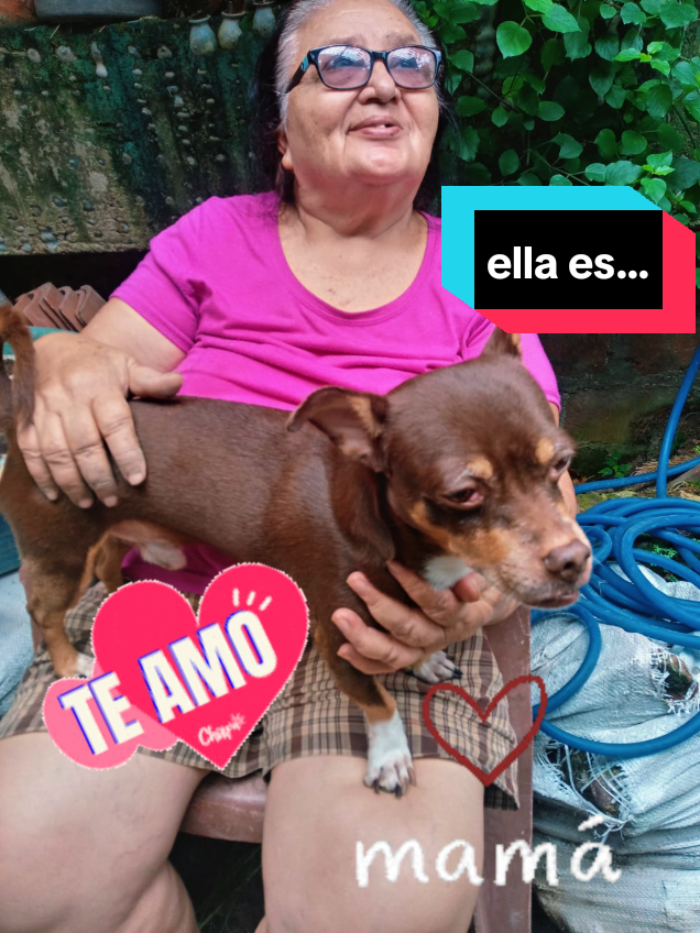 @Xochilita De Estrell