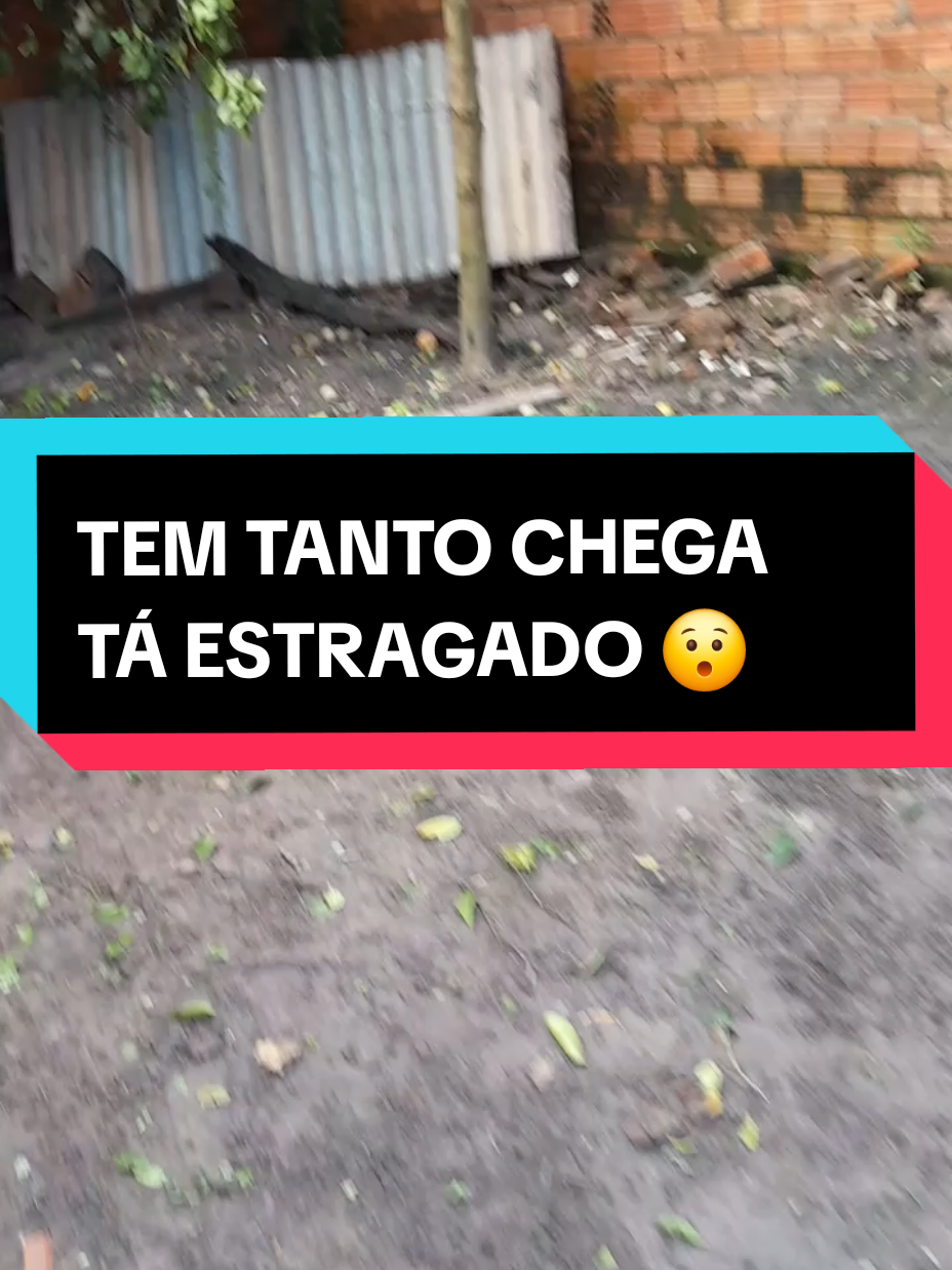 @Marinete Santos