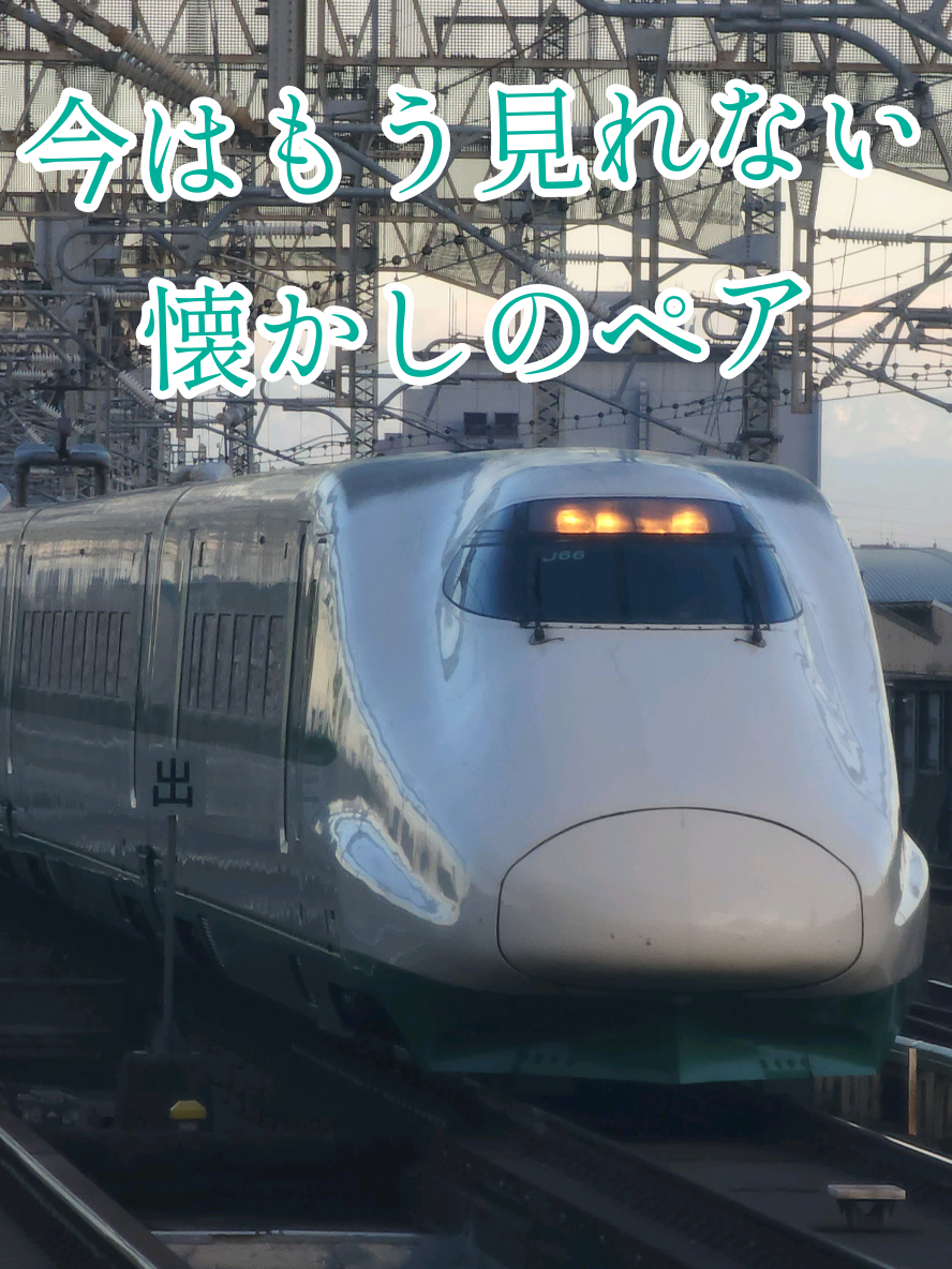 @🚅佐野武琉🚄✨