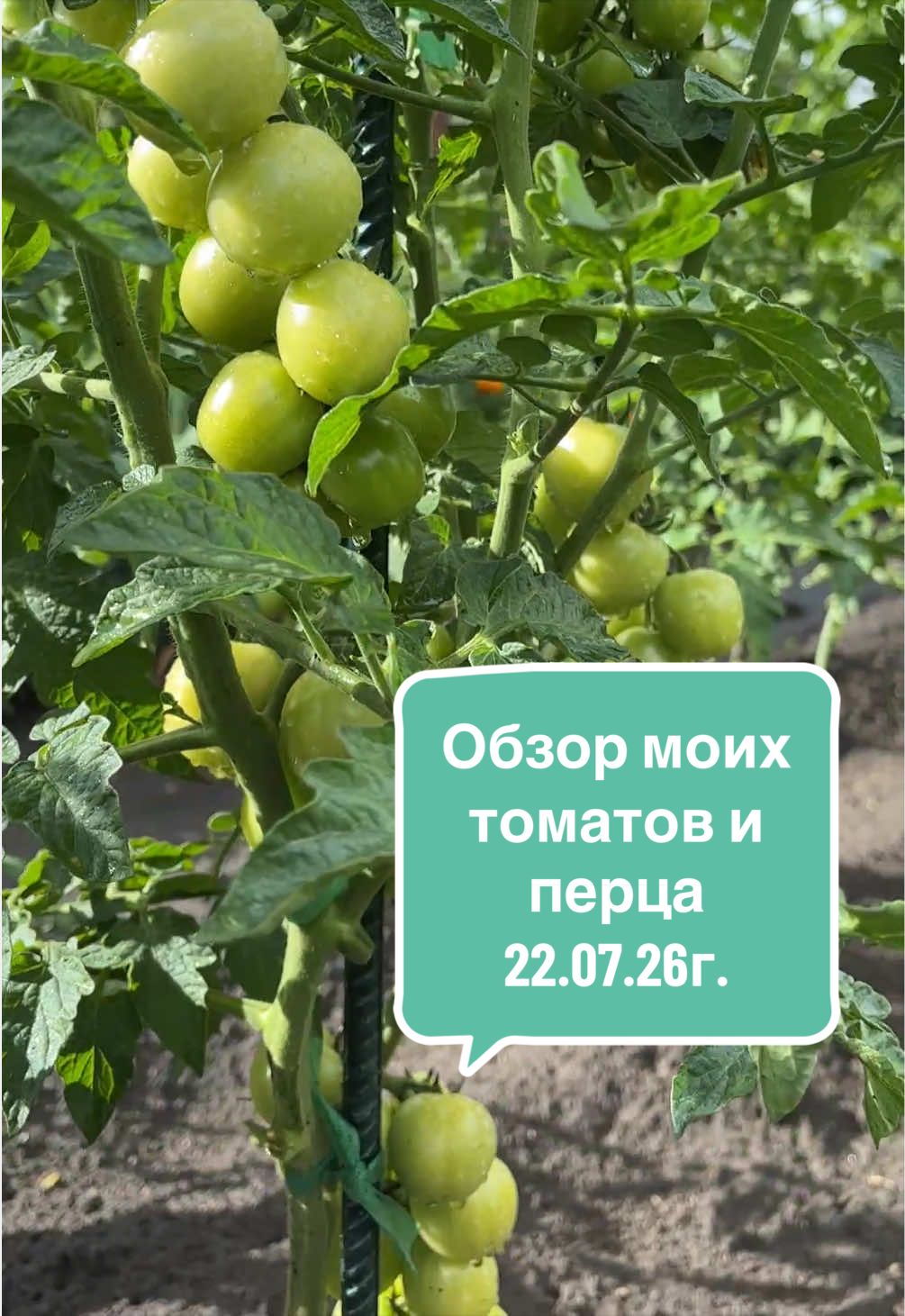 @🌿𝓐𝓷𝓲𝓷𝓪 𝓭𝓪𝓬𝓱𝓪🌿