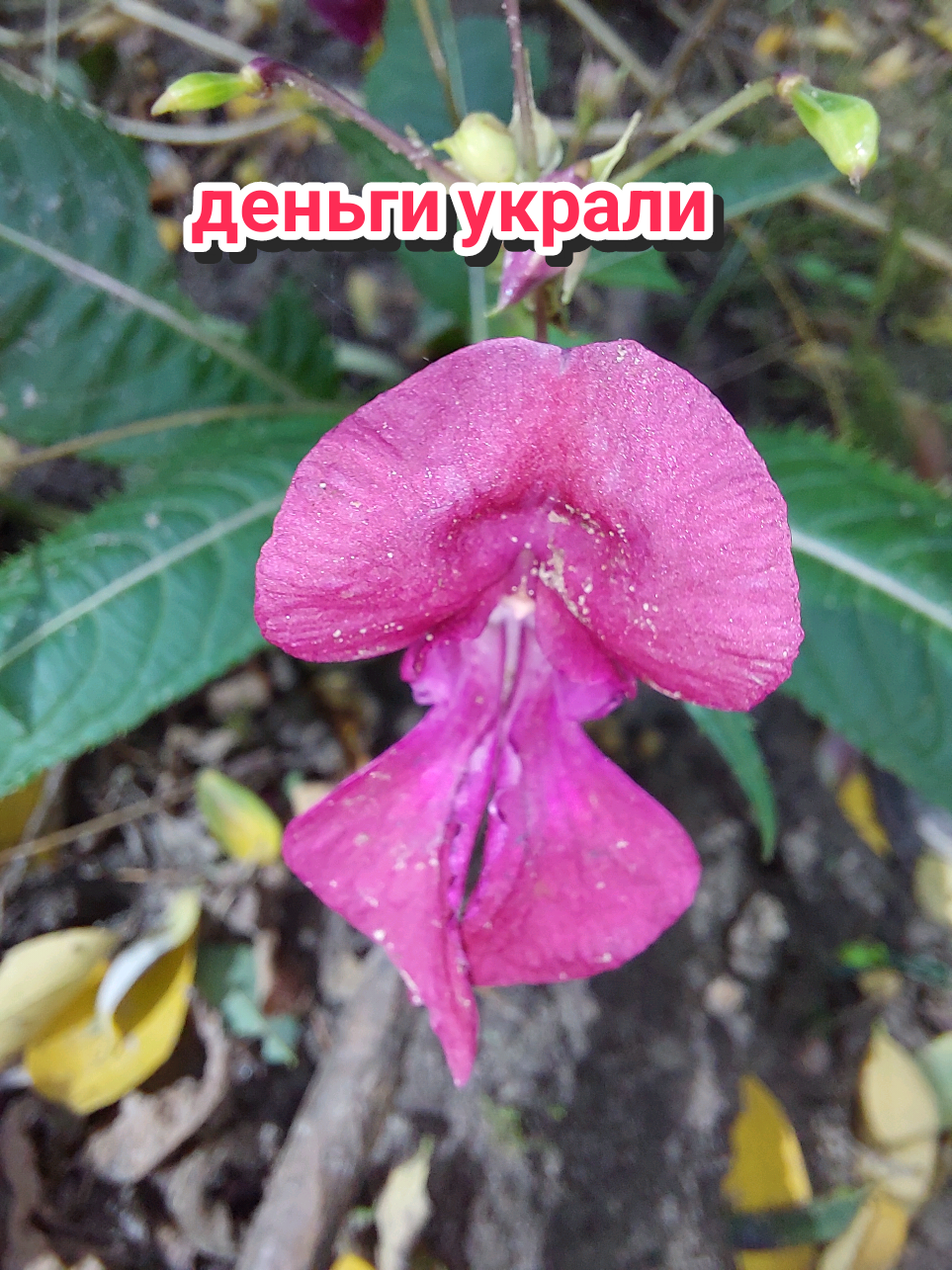 @Рыся✔️🇧🇾