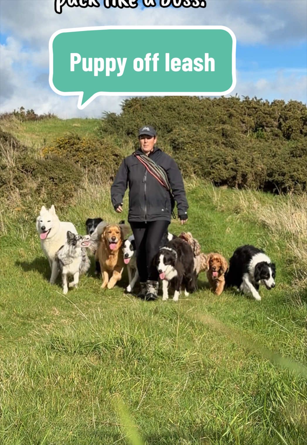@Beks 🐺 Dog Handler 🇳🇿