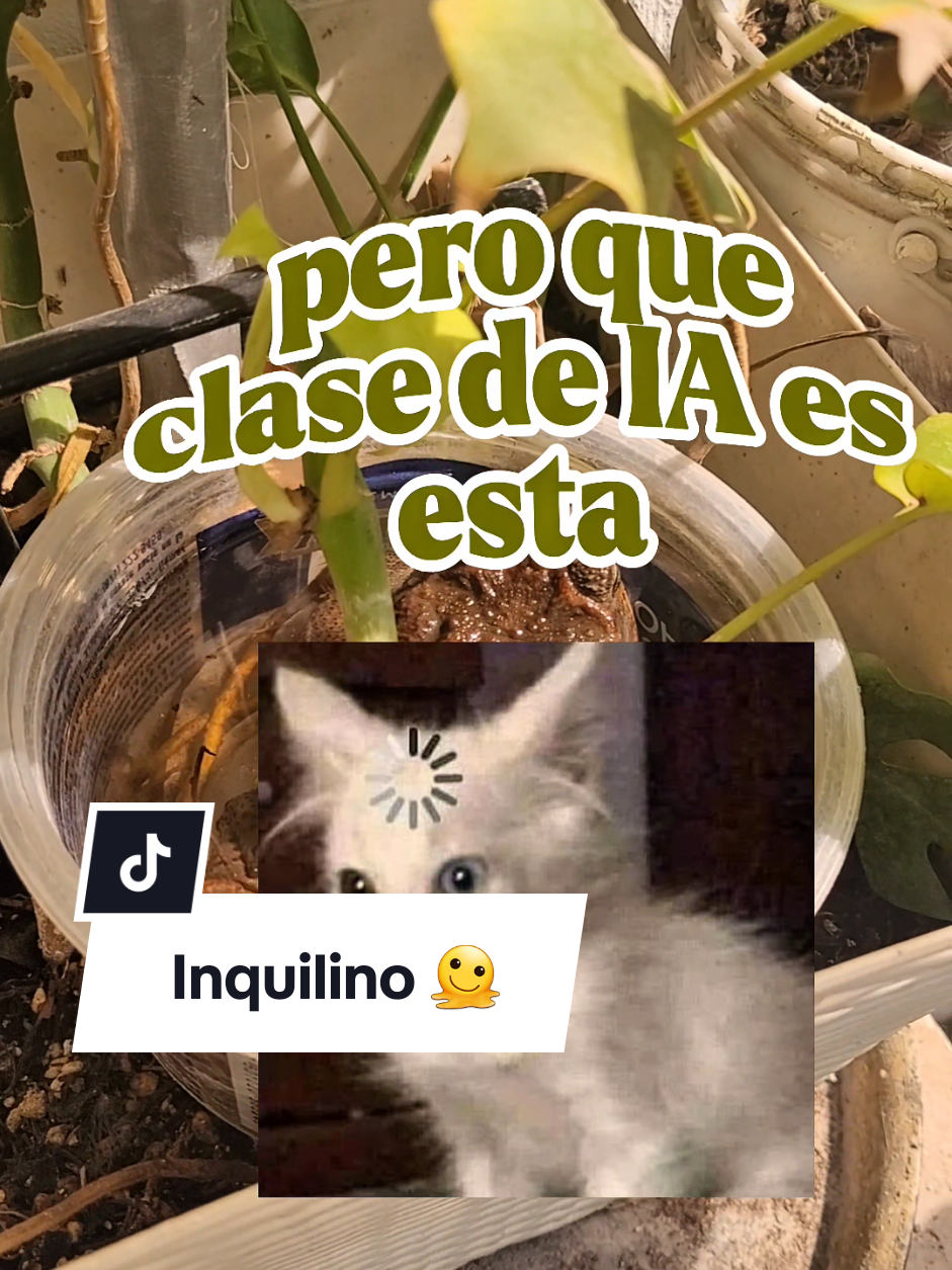 @Plantología🌿