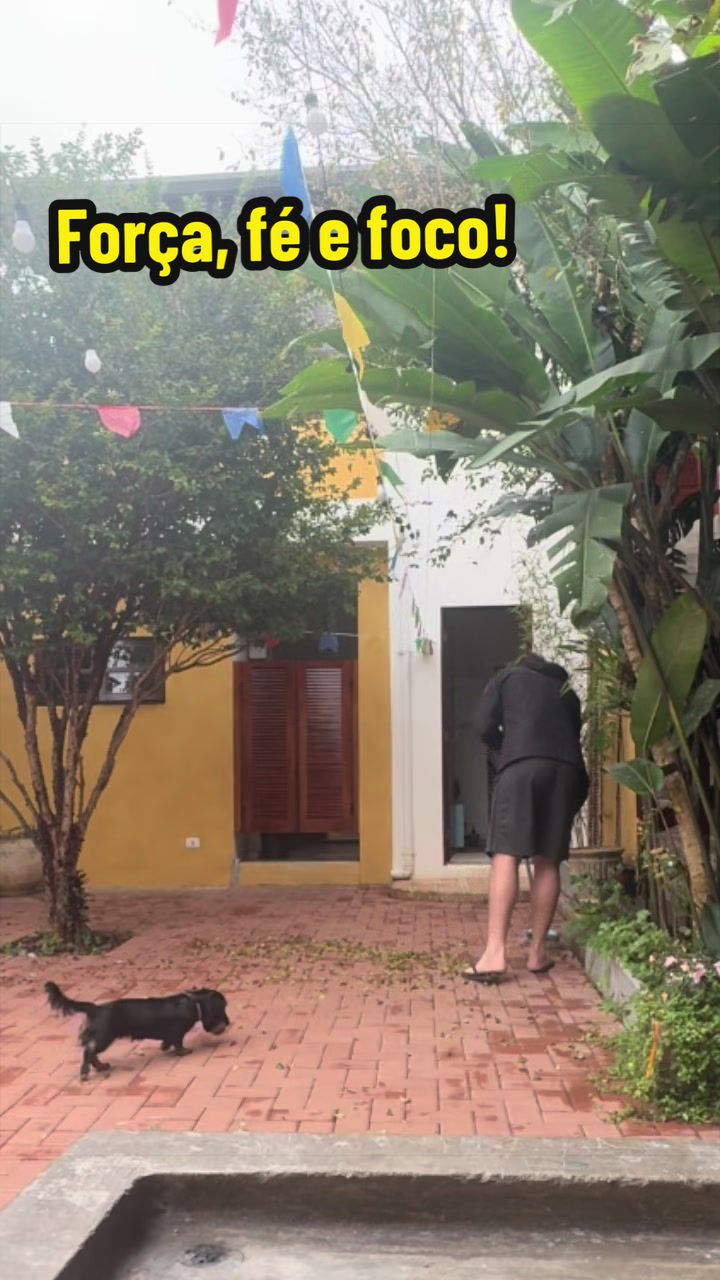 @Marcelo Zerbini