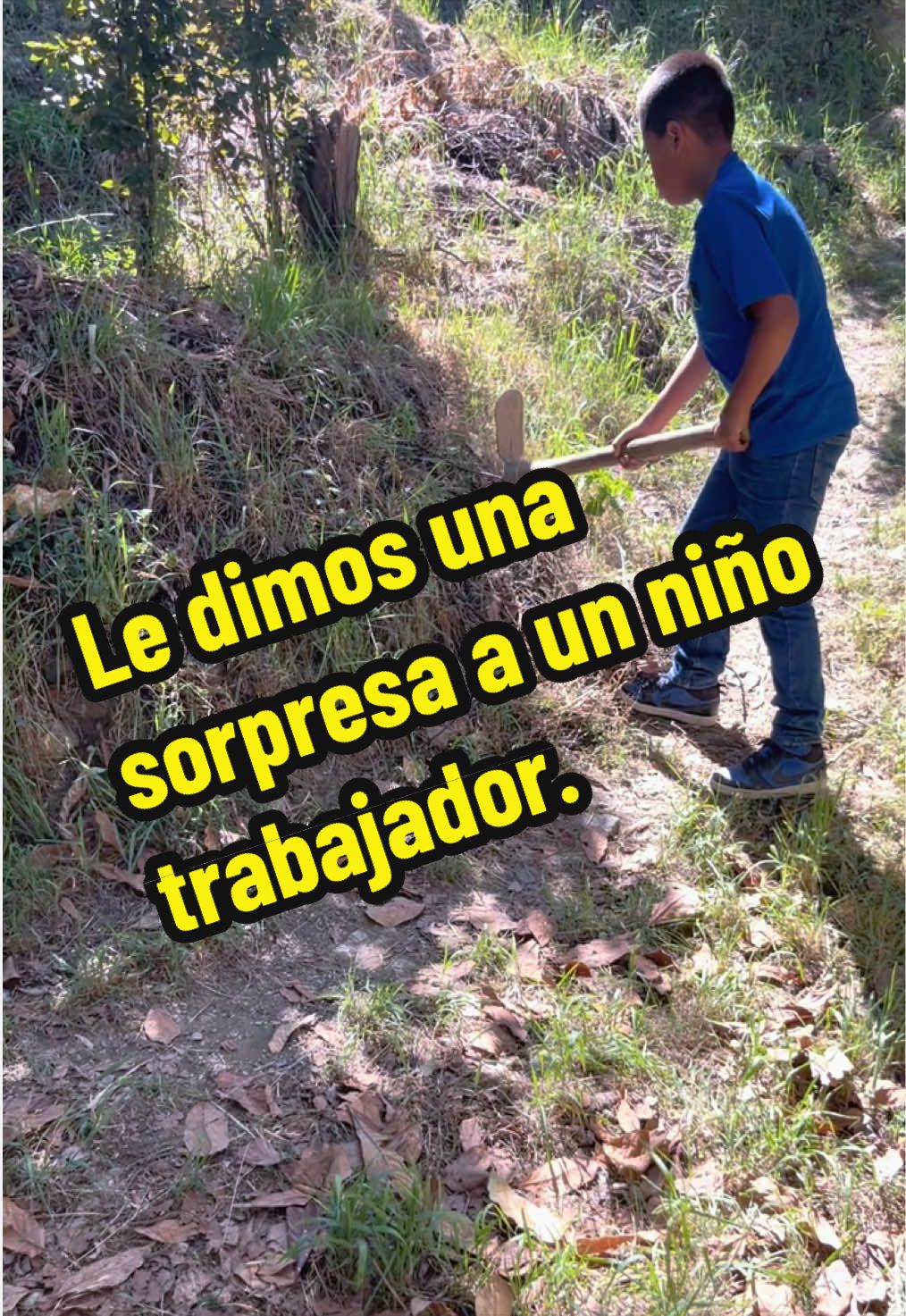 @Profe Sa&uacute;l Fentanes
