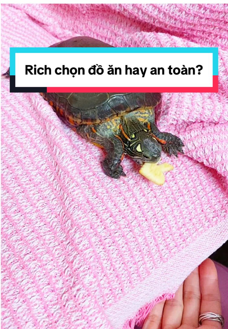 @Nh&agrave; c&oacute; r&ugrave;a v&agrave; ch&oacute;