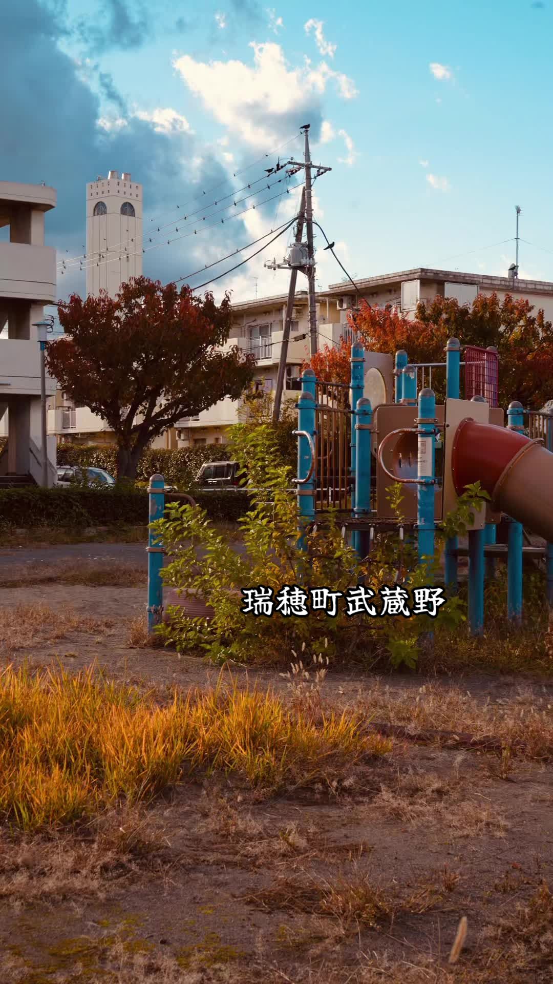 @カエルの日々
