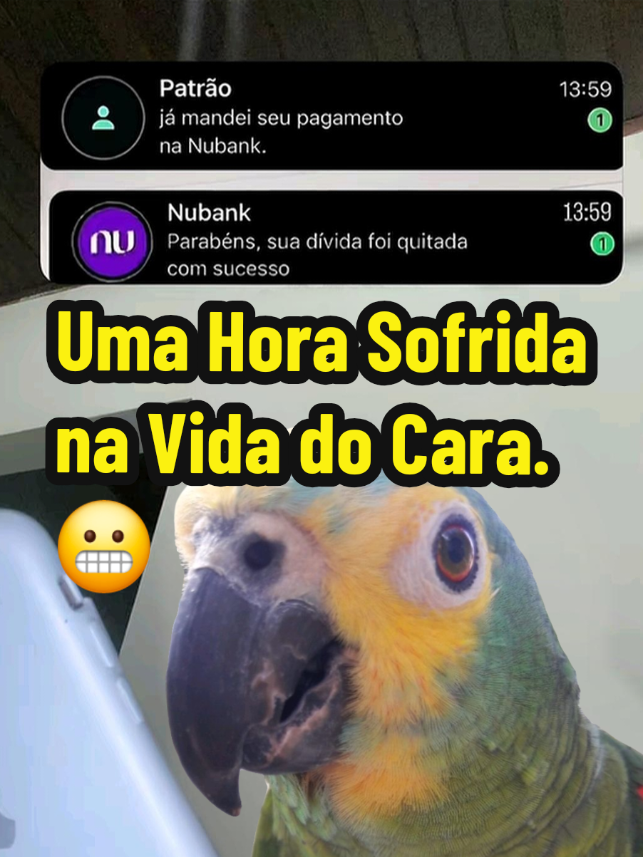 @Papagaio Chico🌽🦜