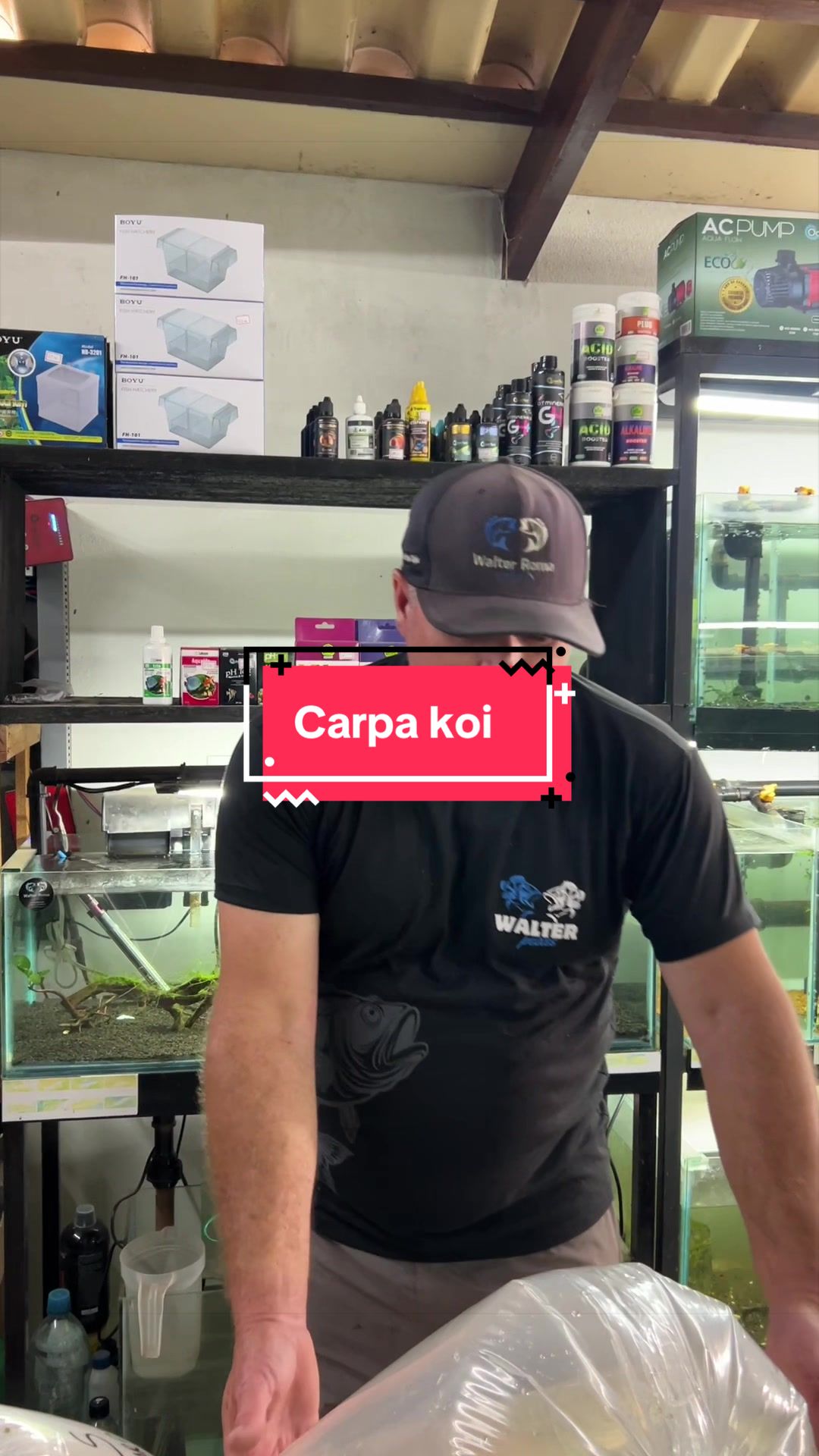 @Walter Fish