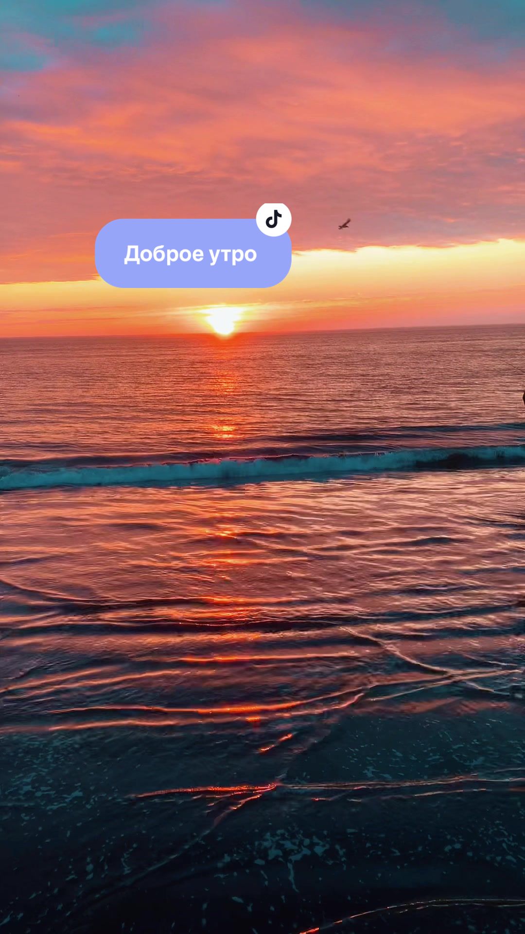 @TravelProSakhalin