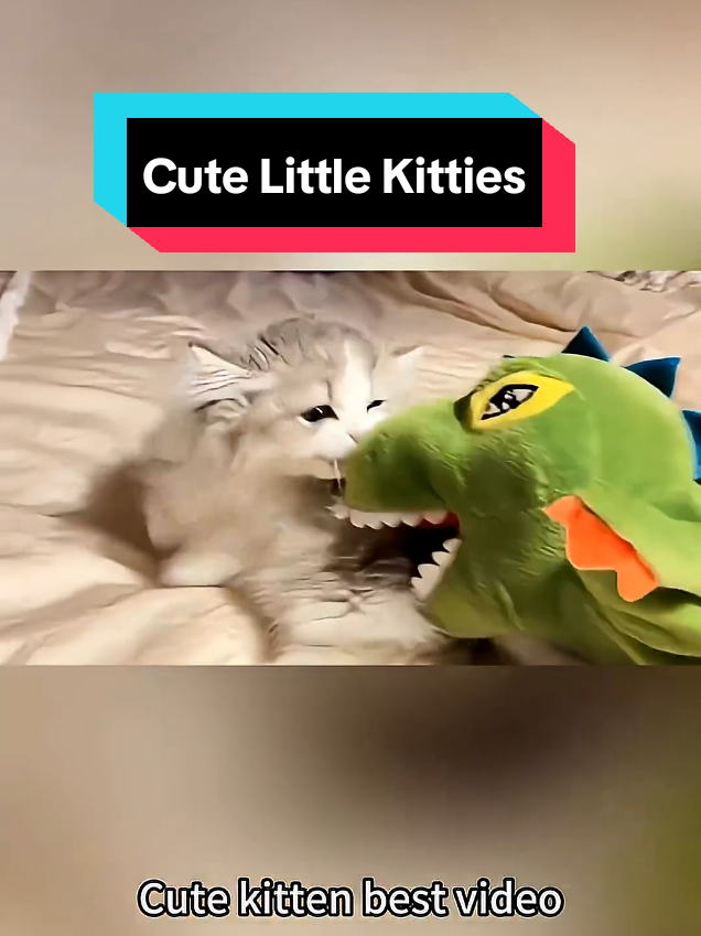@MeowMagic