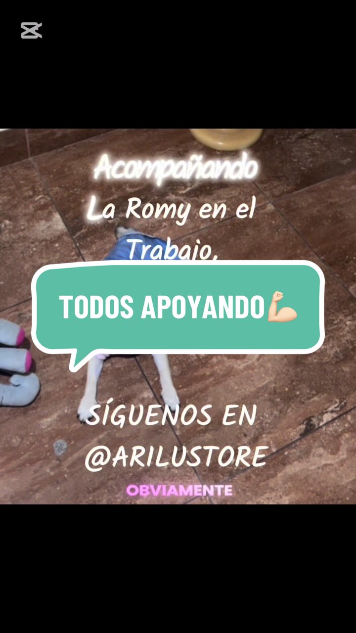 @Babypug