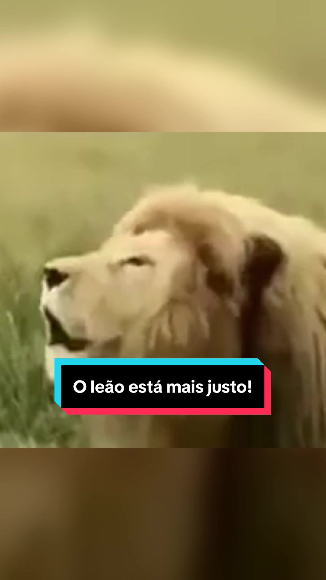 @Emanuelzinho