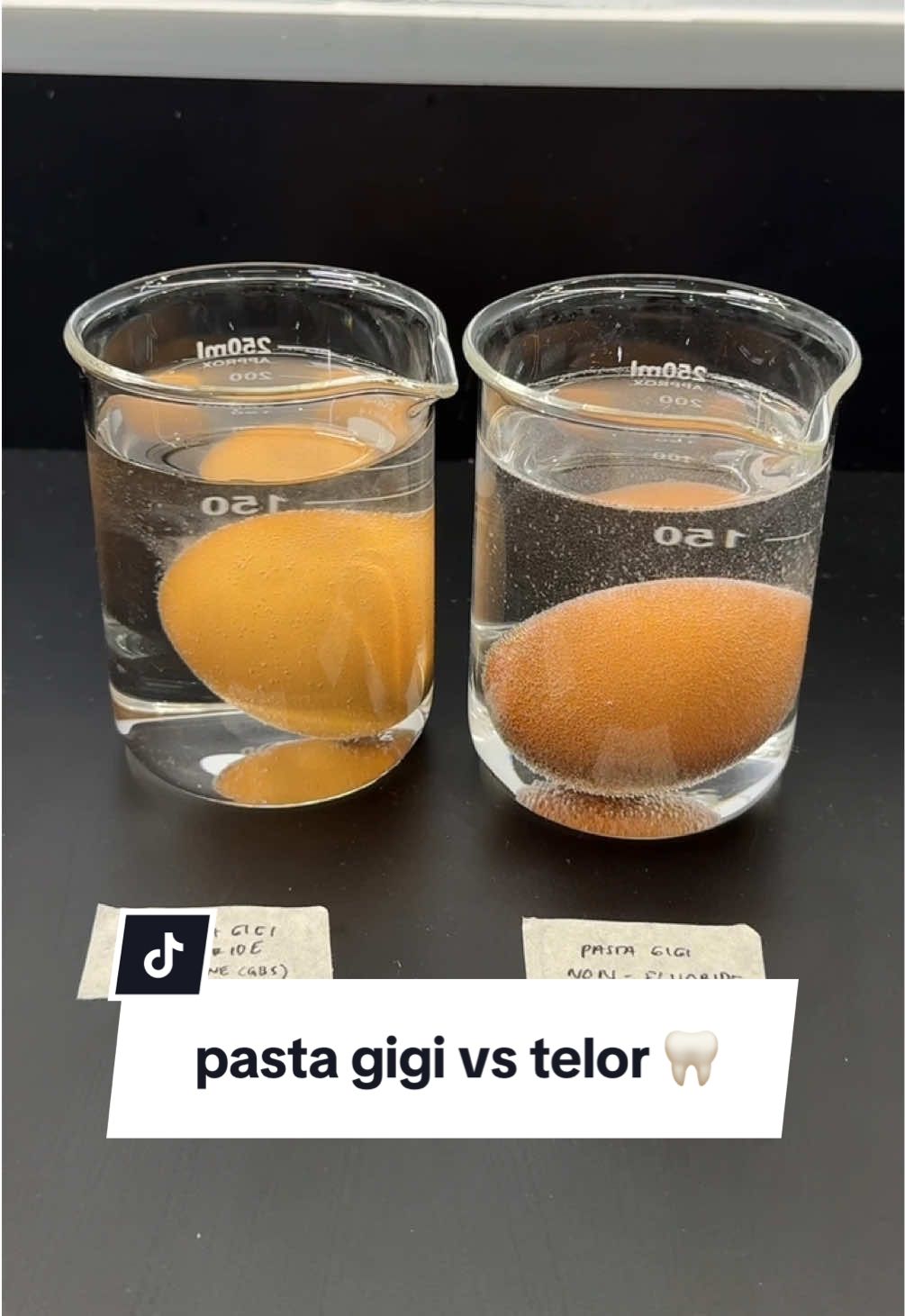 @andrea👩🏻🔬