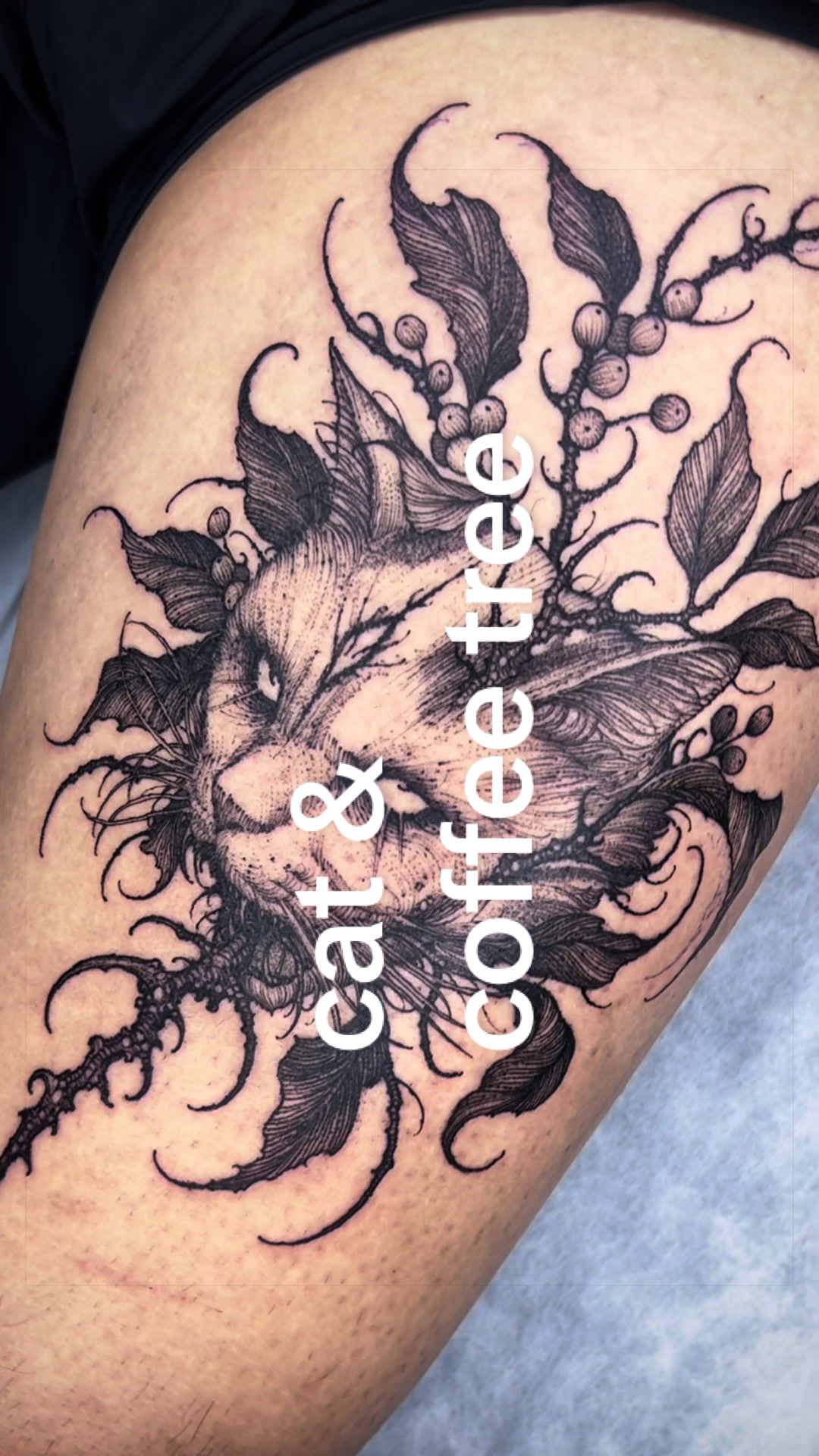 @243tattoo