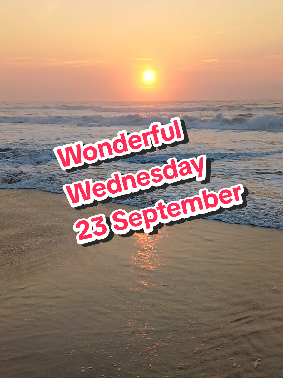 @Werner 🔆 🌊 🇿🇦
