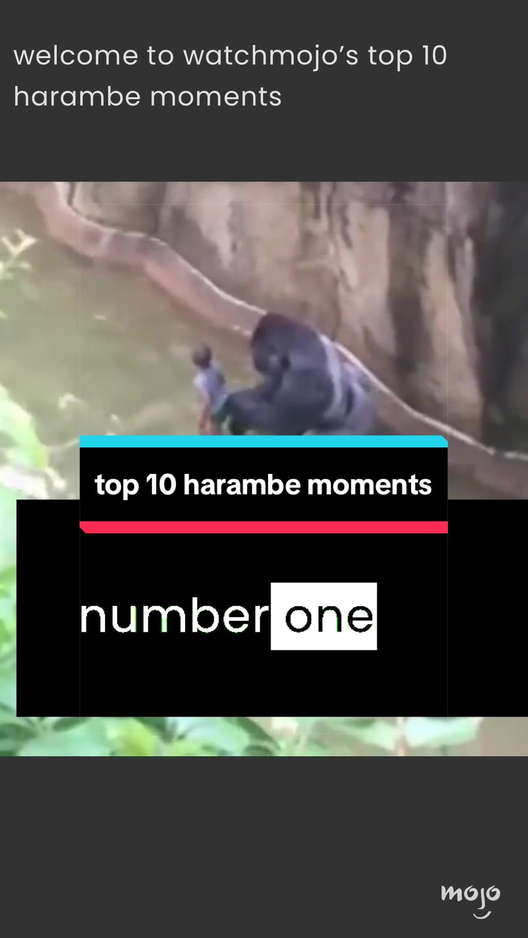 @watchmojo