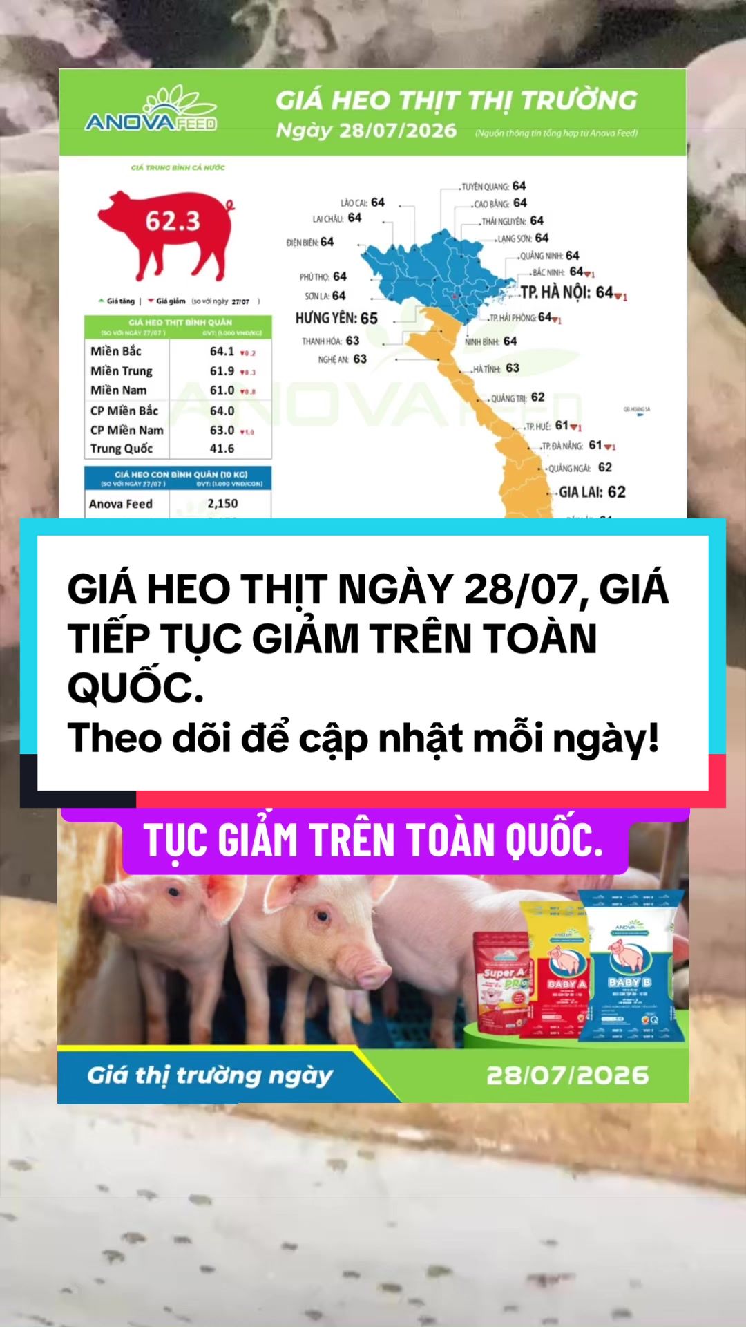 @TuanAnh.Anovafeed