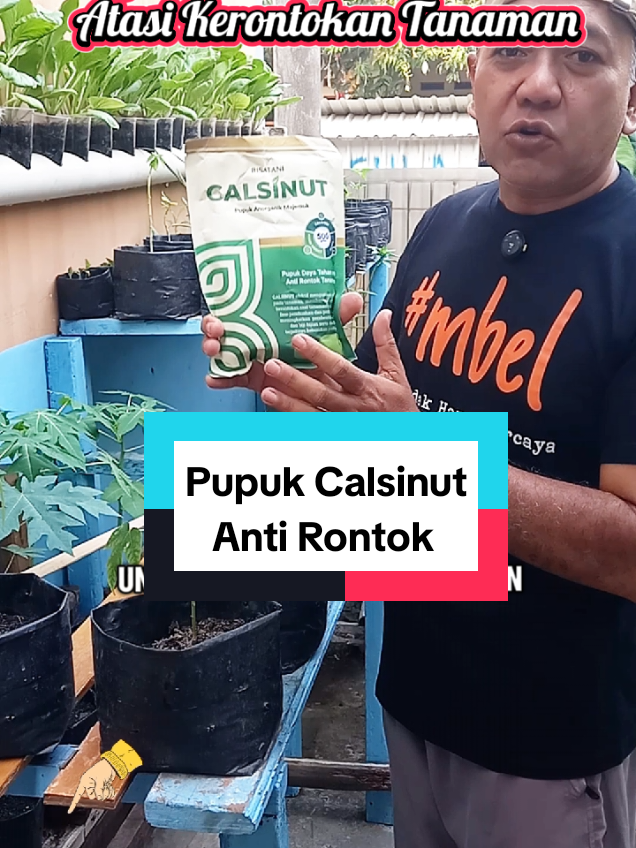 @Roslan.Robert