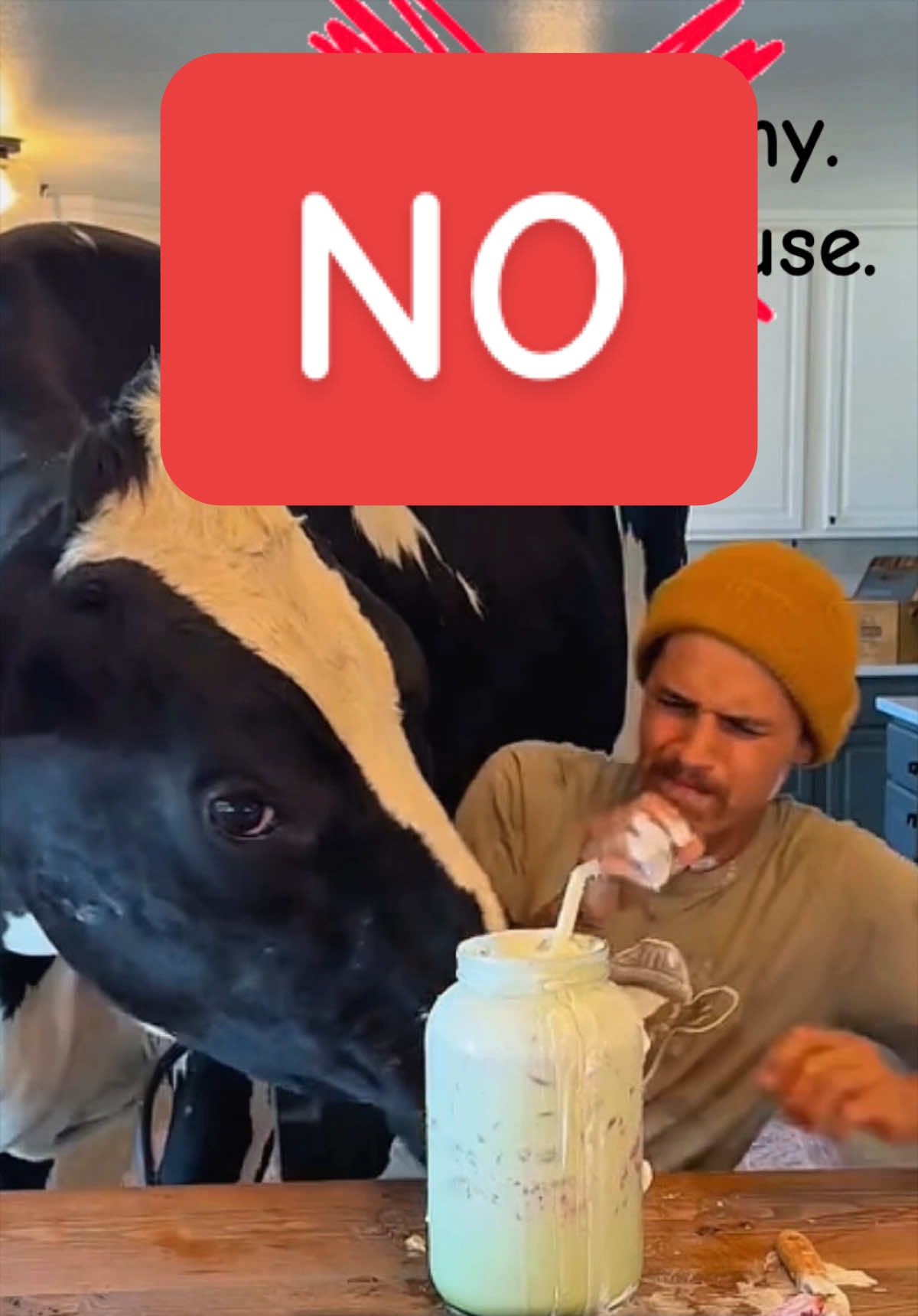 @That Vegan Teacher Miss Kadie