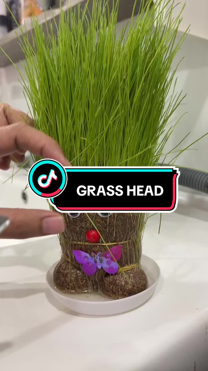 @๐๐๐๐๐๐๐๐ข๐