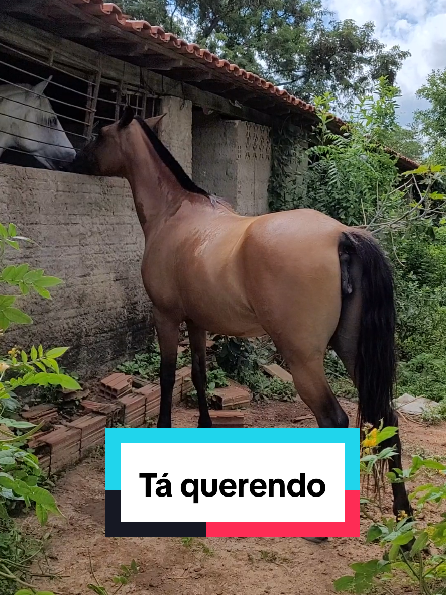 @Jardel Ferreira