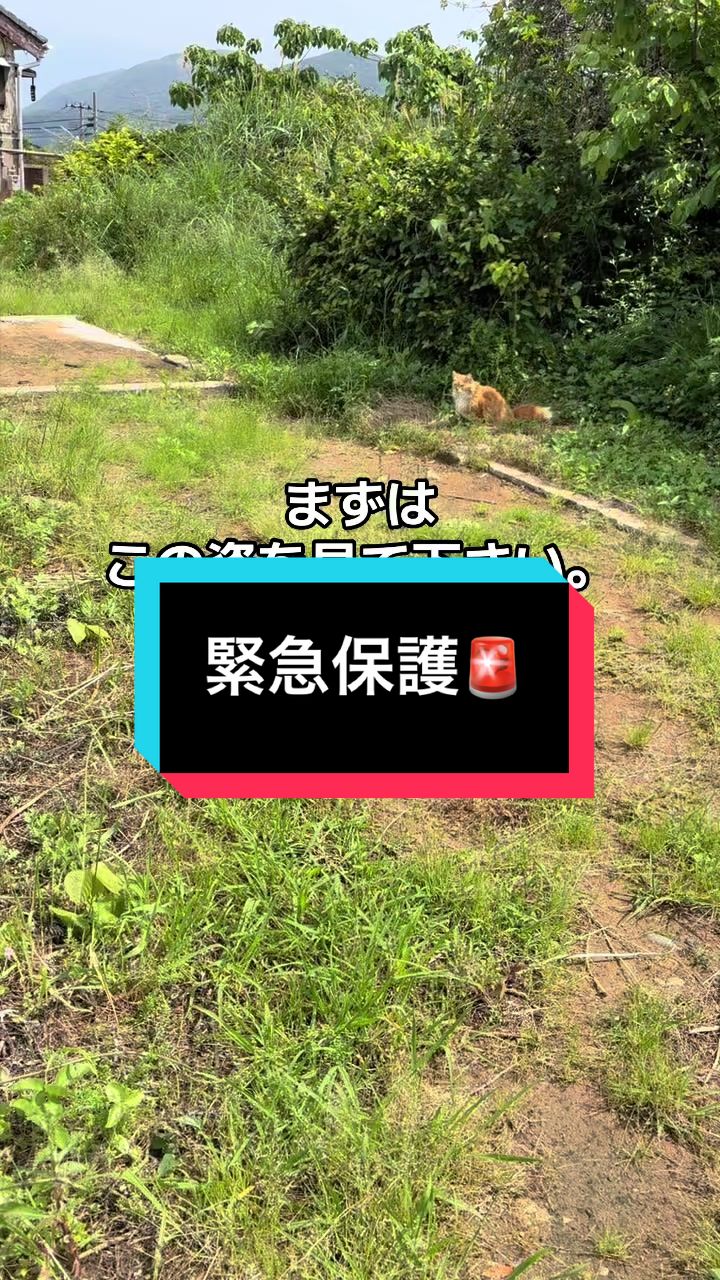 @ブルースカイの倫