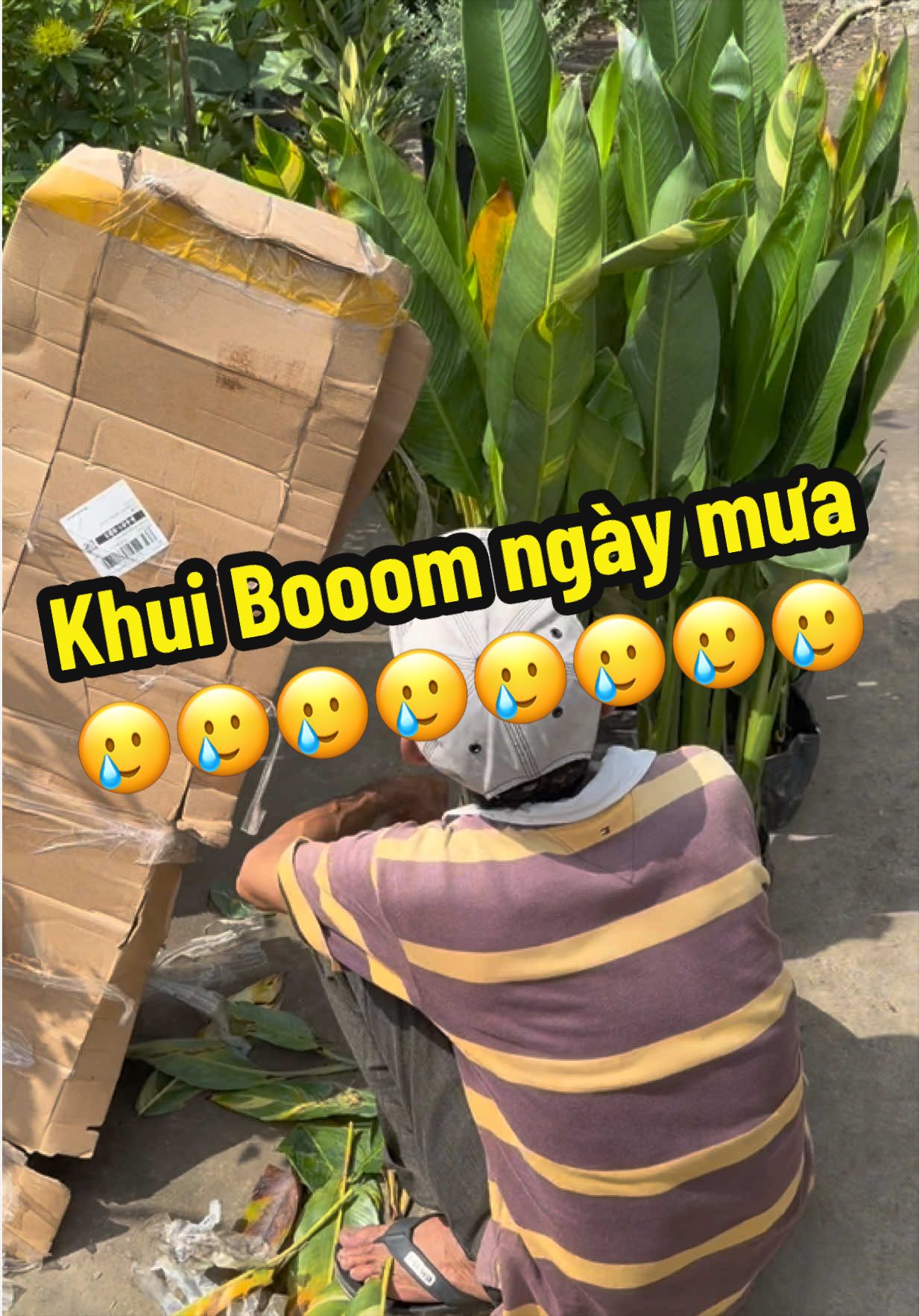 @Tiệm Lá Nhỏ