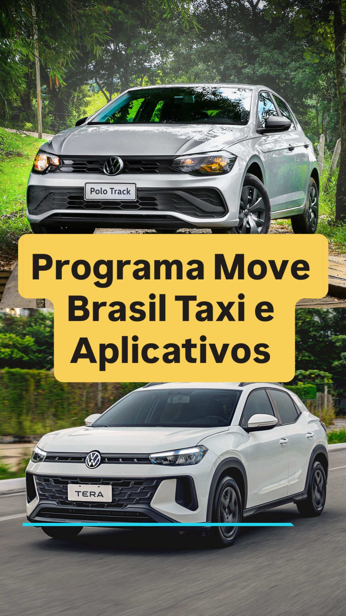 @João Brigato
