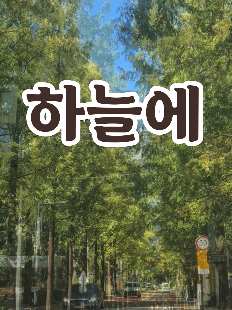 @송화찌