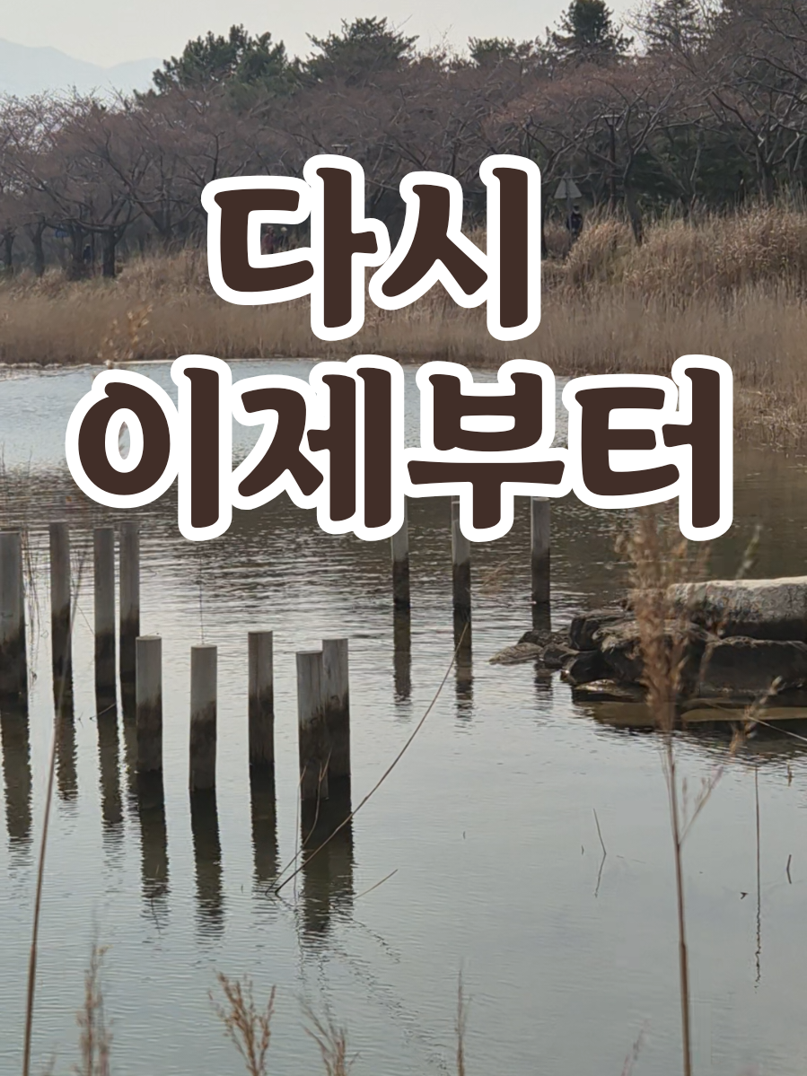 @송화찌