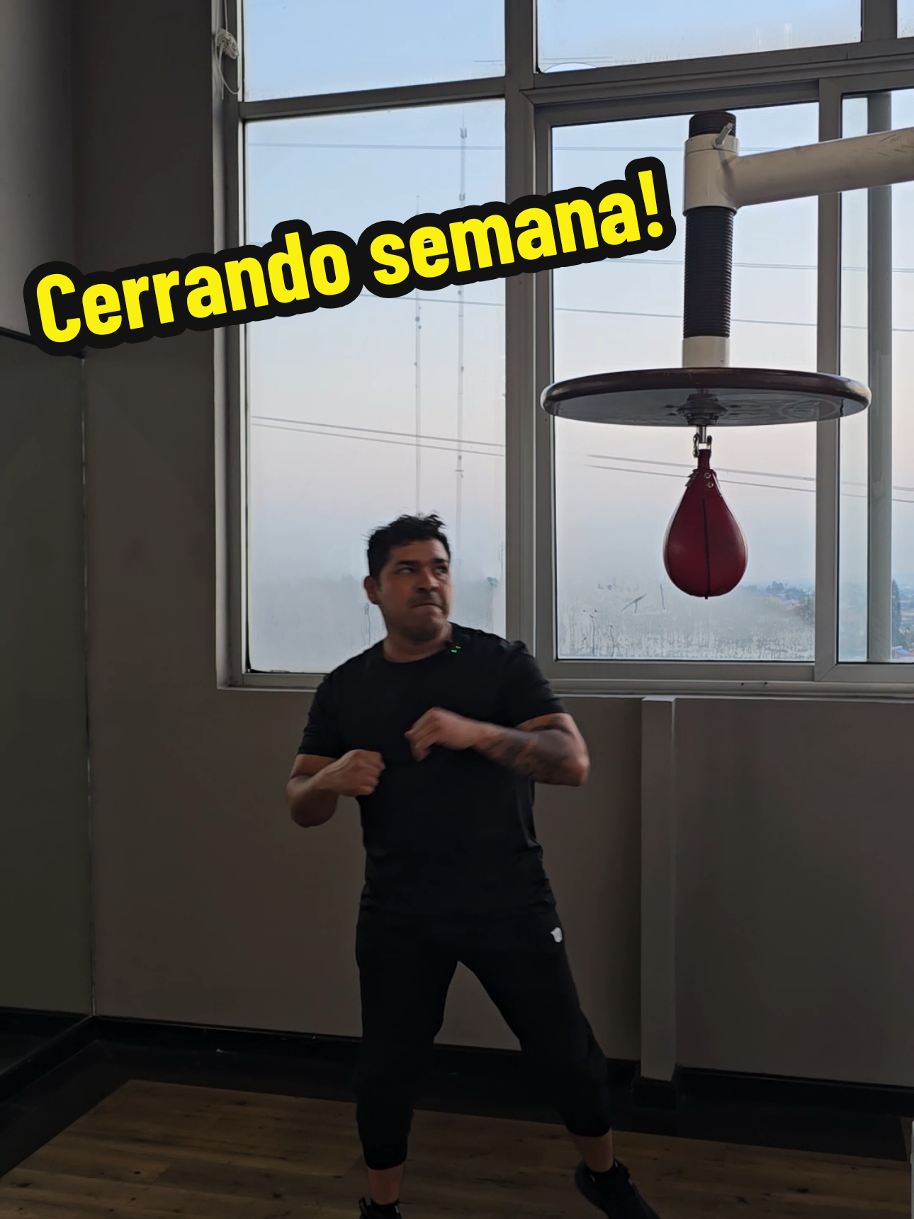 @Javi H