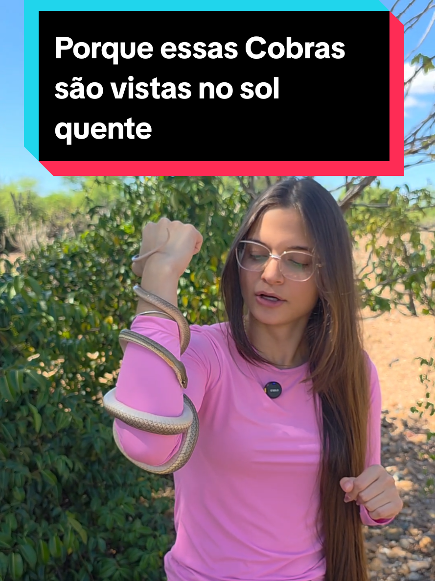 @Princesa das Serpentes